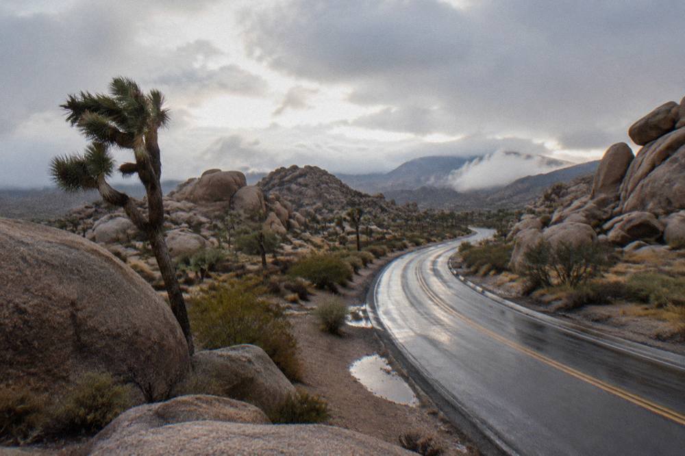 An empty two-lane road winding between granite boulders and scattered Joshua trees