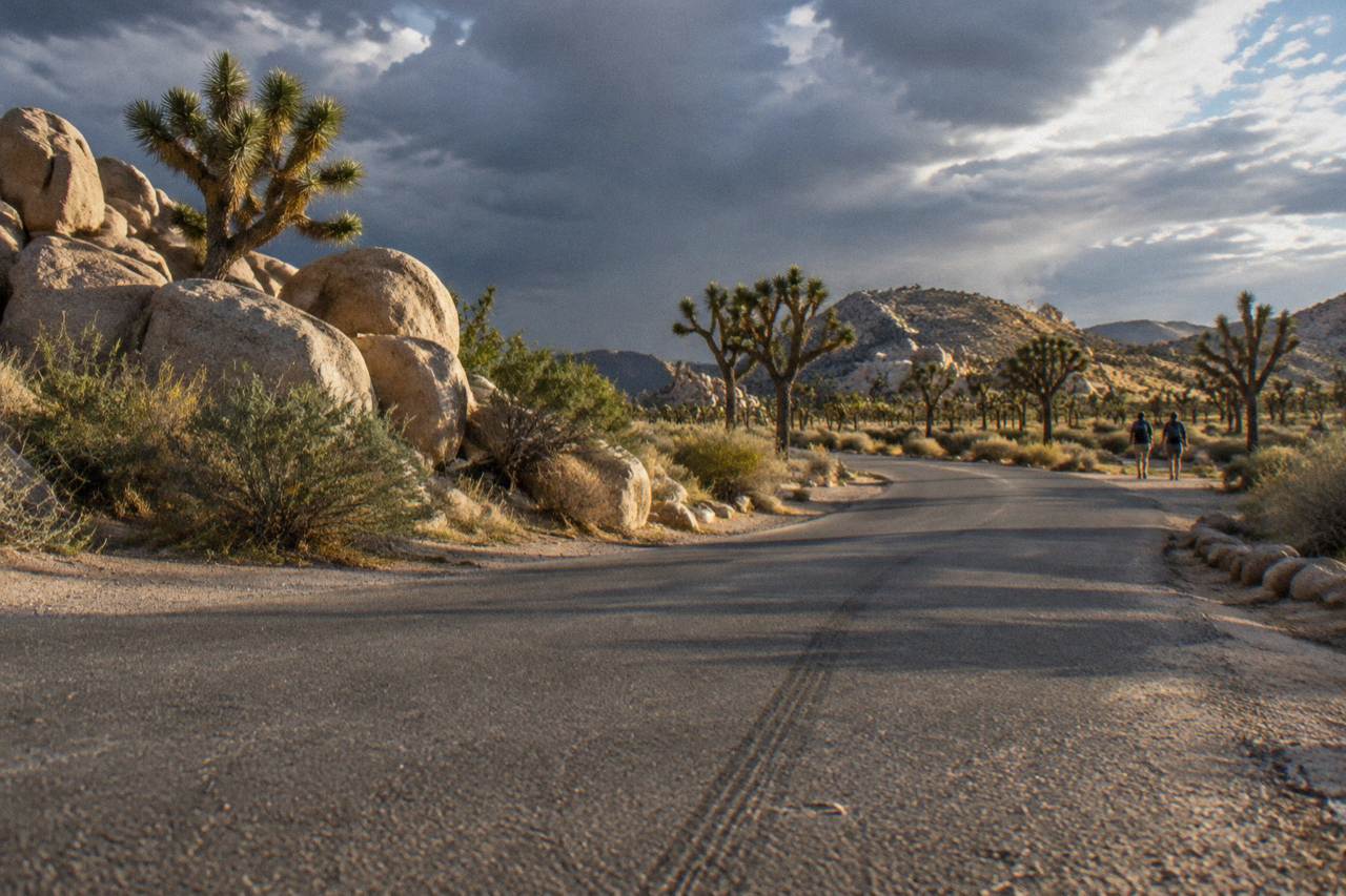 A paved desert road curving past boulder piles and Joshua trees under a wide sky