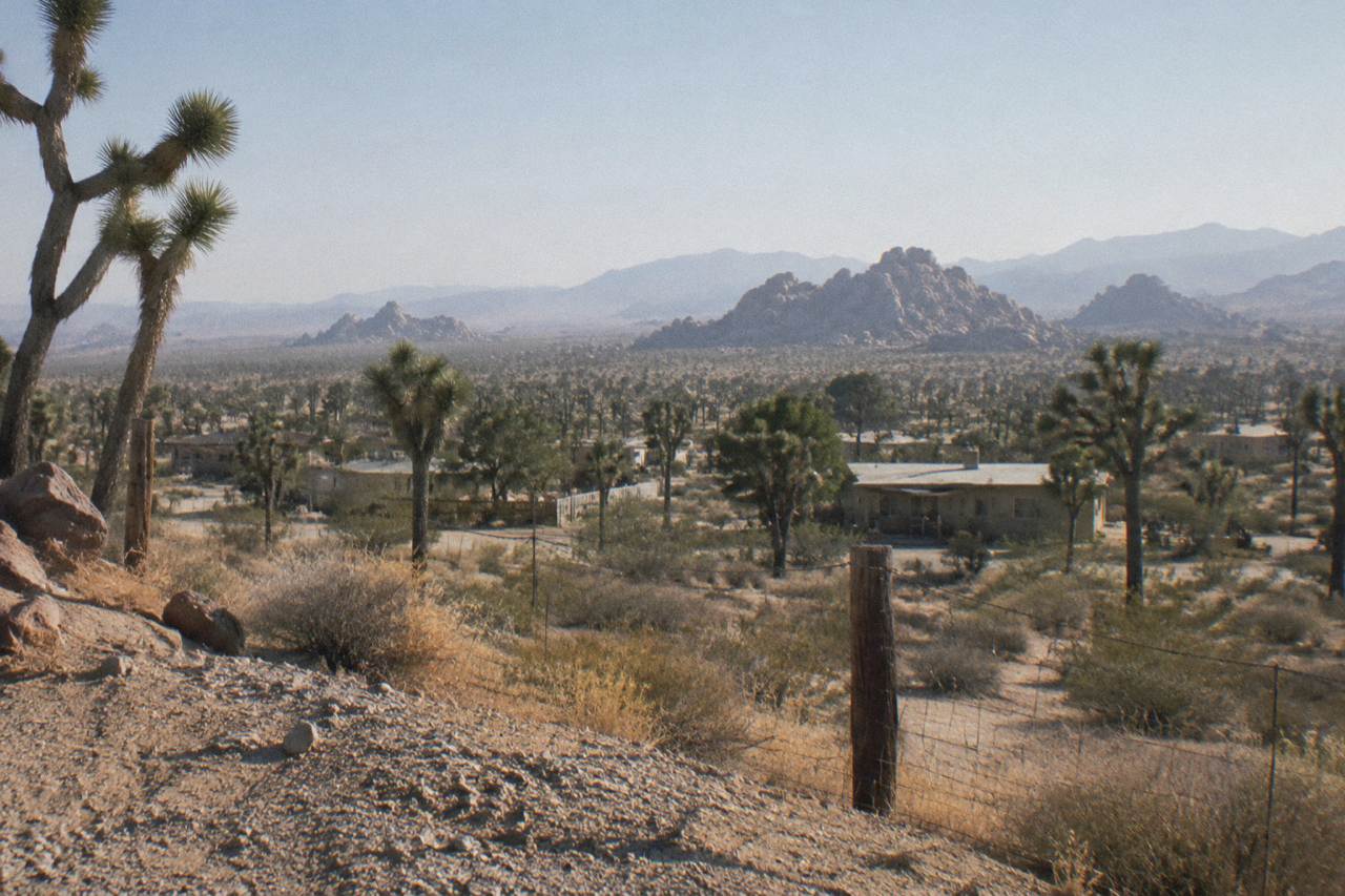 Wide desert plain with scattered Joshua trees under a hazy summer sky and distant rock formations