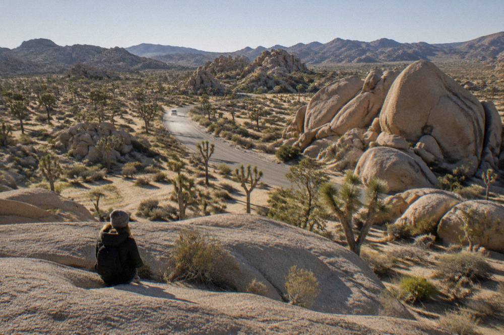A winding paved road passing between tall rock formations and scattered Joshua trees