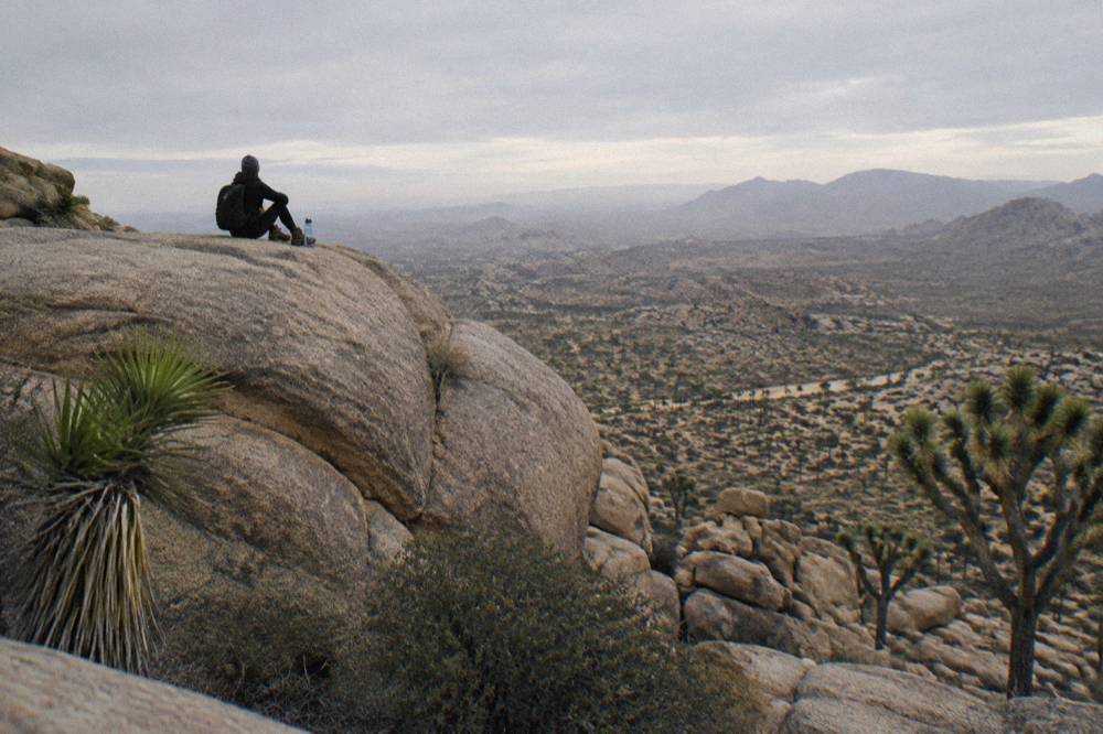 A hiker resting on a large granite boulder above a valley of Joshua trees in late afternoon light