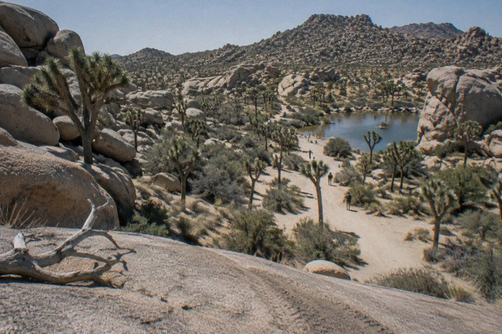 Wind-carved granite boulders stacked above a sandy wash dotted with Joshua trees