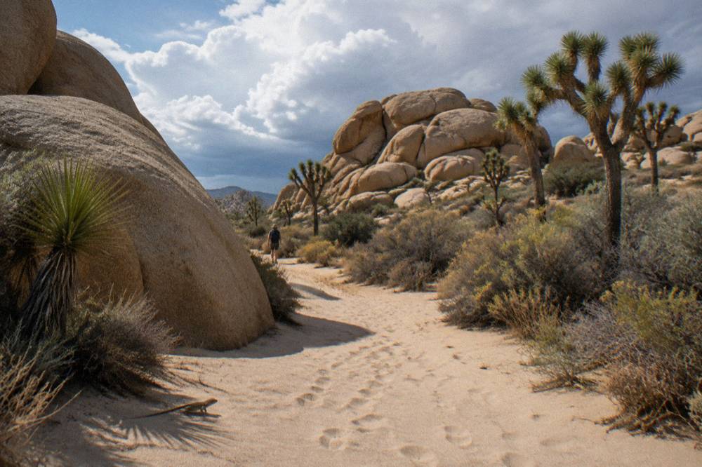 Granite boulder formations stacked above a sandy wash dotted with Joshua trees