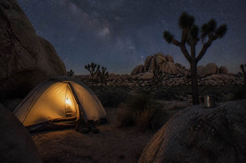 Campground tent set among rocks and Joshua trees under a star-filled night sky