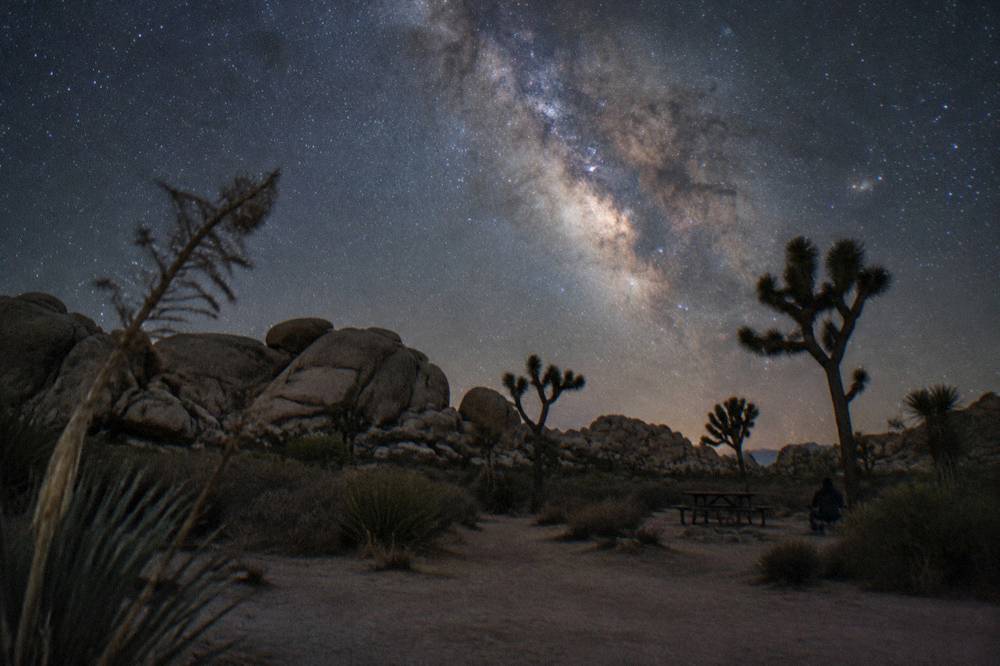 Granite boulders and Joshua trees silhouetted against a band of the Milky Way