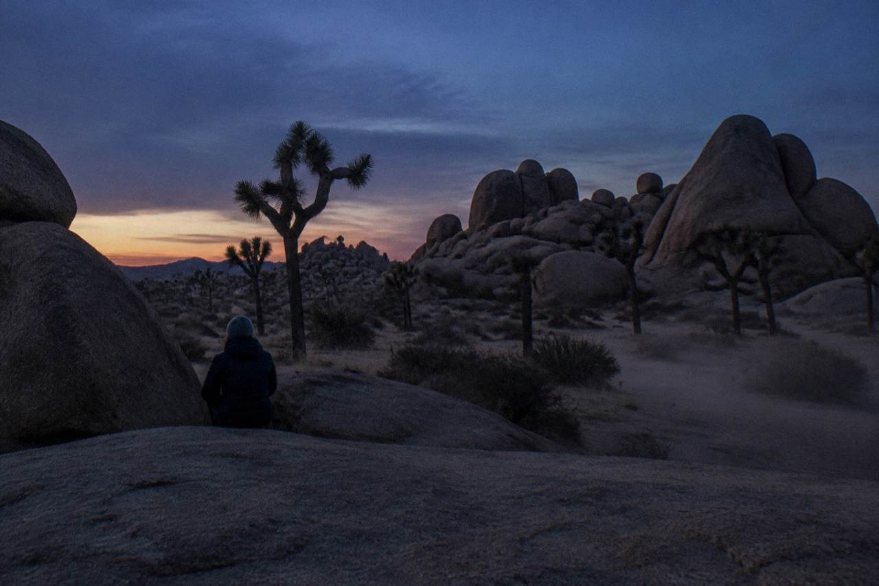 A desert landscape at dusk with rock formations and Joshua trees under a deep blue sky