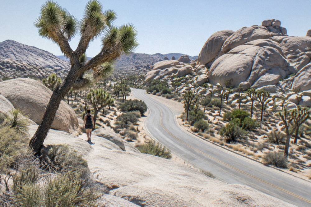 Empty two lane road curving between rock formations inside the park