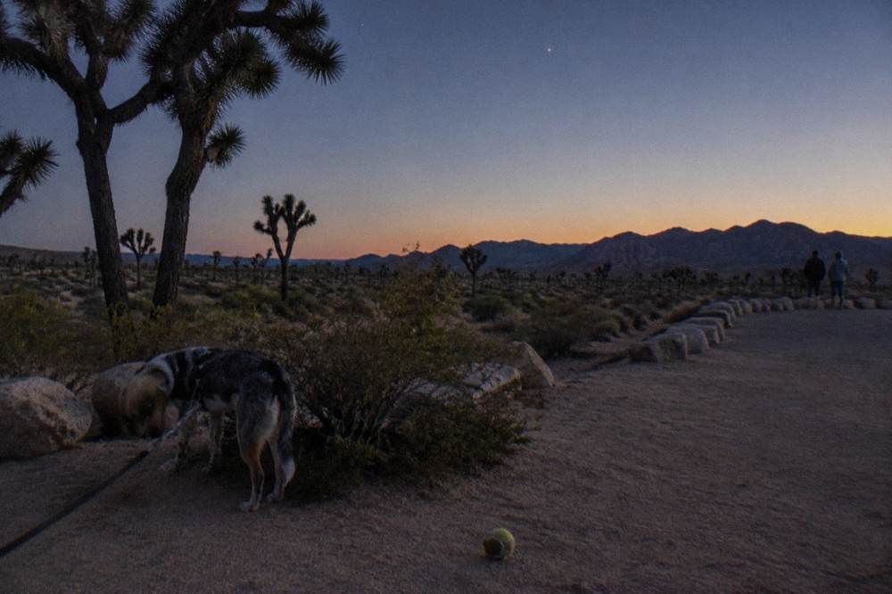 Open desert plain with distant mountains under a clear sky at dusk