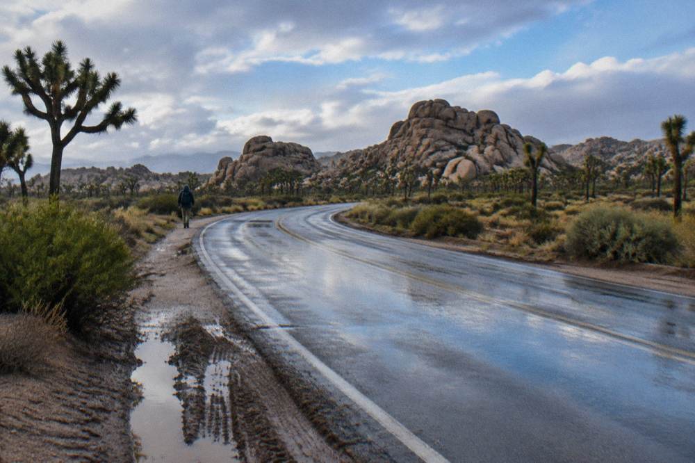An empty paved road curving through open desert toward rock formations
