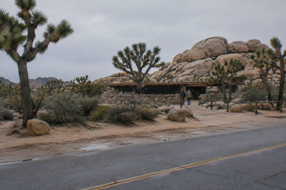 Granite boulders and Joshua trees along a quiet desert road at the edge of town