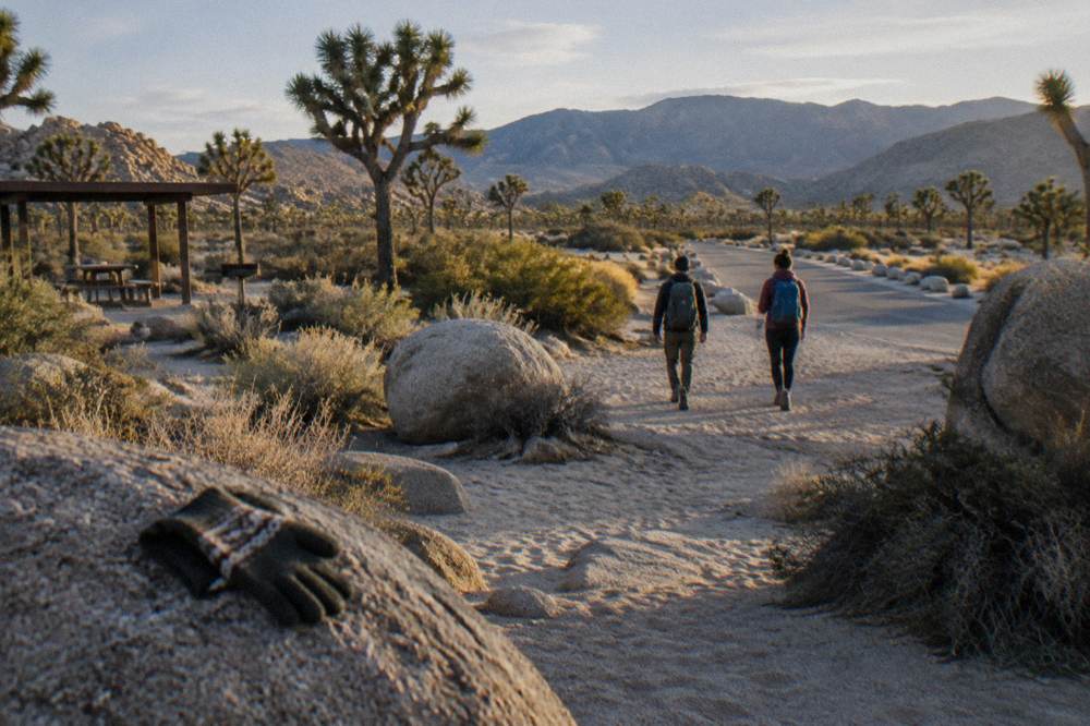 Park road stretching toward distant desert mountains under late afternoon light
