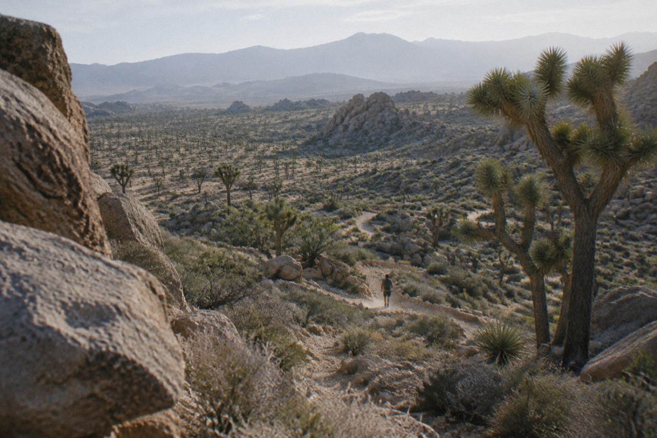 A rugged boulder-strewn trail winding through Joshua trees under a wide desert sky