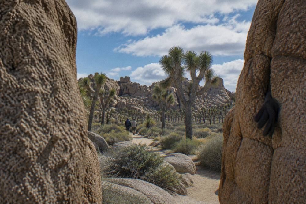 A loop trail winding between tall granite boulders and clusters of Joshua trees