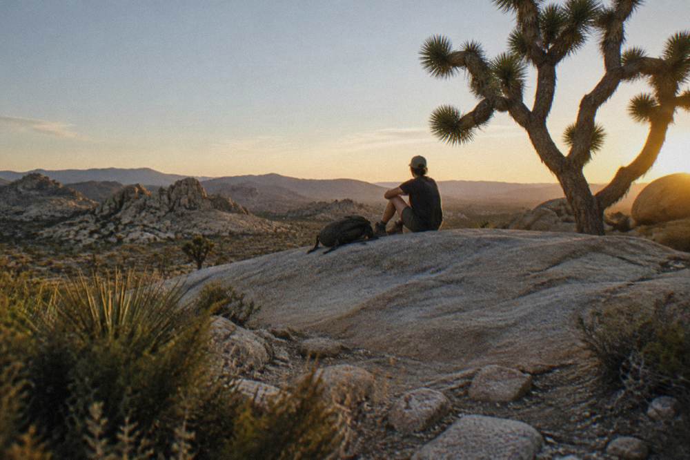 A hiker resting on a large boulder beside a Joshua tree in late afternoon light