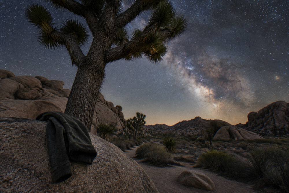 A Joshua tree standing under a star-filled night sky with the Milky Way visible overhead