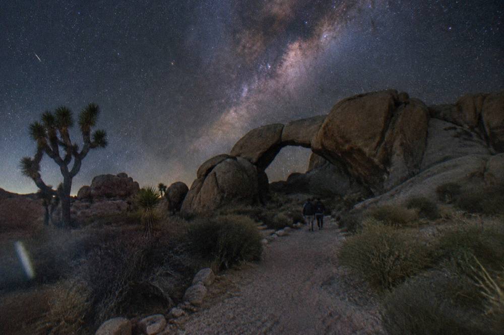 A wide view of the Milky Way band over a Joshua tree and boulder landscape at night