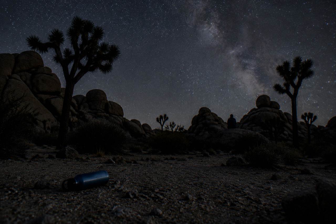 A dark desert night sky filled with stars above silhouetted Joshua trees and rock formations