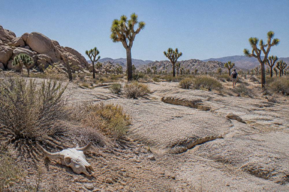 Wide desert landscape with granite boulders under a hot midday sun