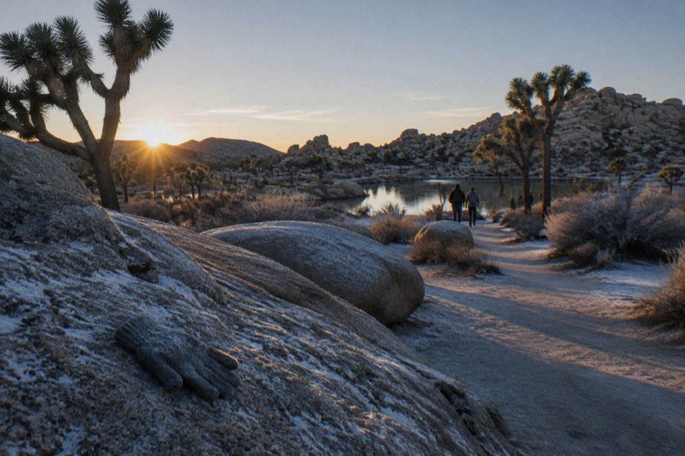 Desert trail at dawn with long shadows across sand and rocks