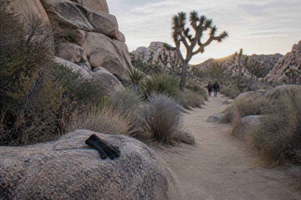 Granite boulders and Joshua trees along a desert trail in soft morning light