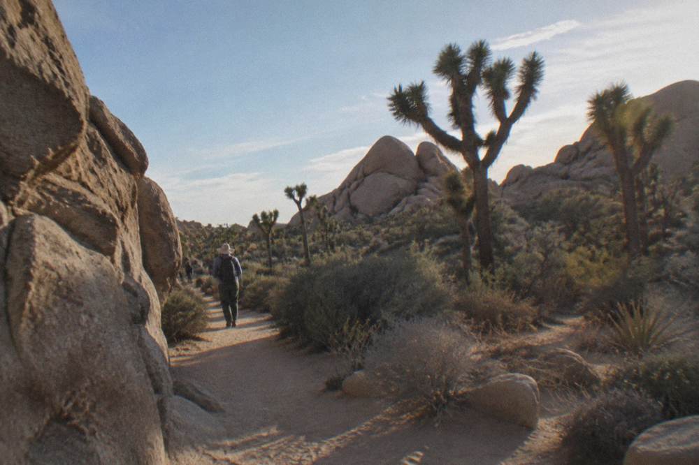 Hiker in a sun hat and long sleeves walking a trail between boulders and Joshua trees