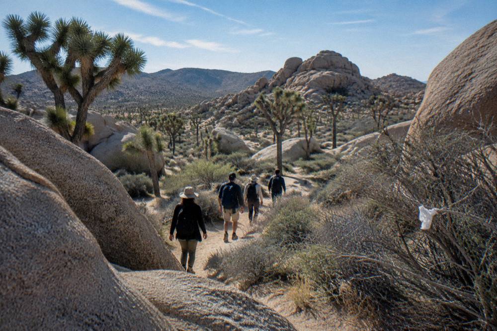 A guided group walking among boulders and joshua trees on a mild day