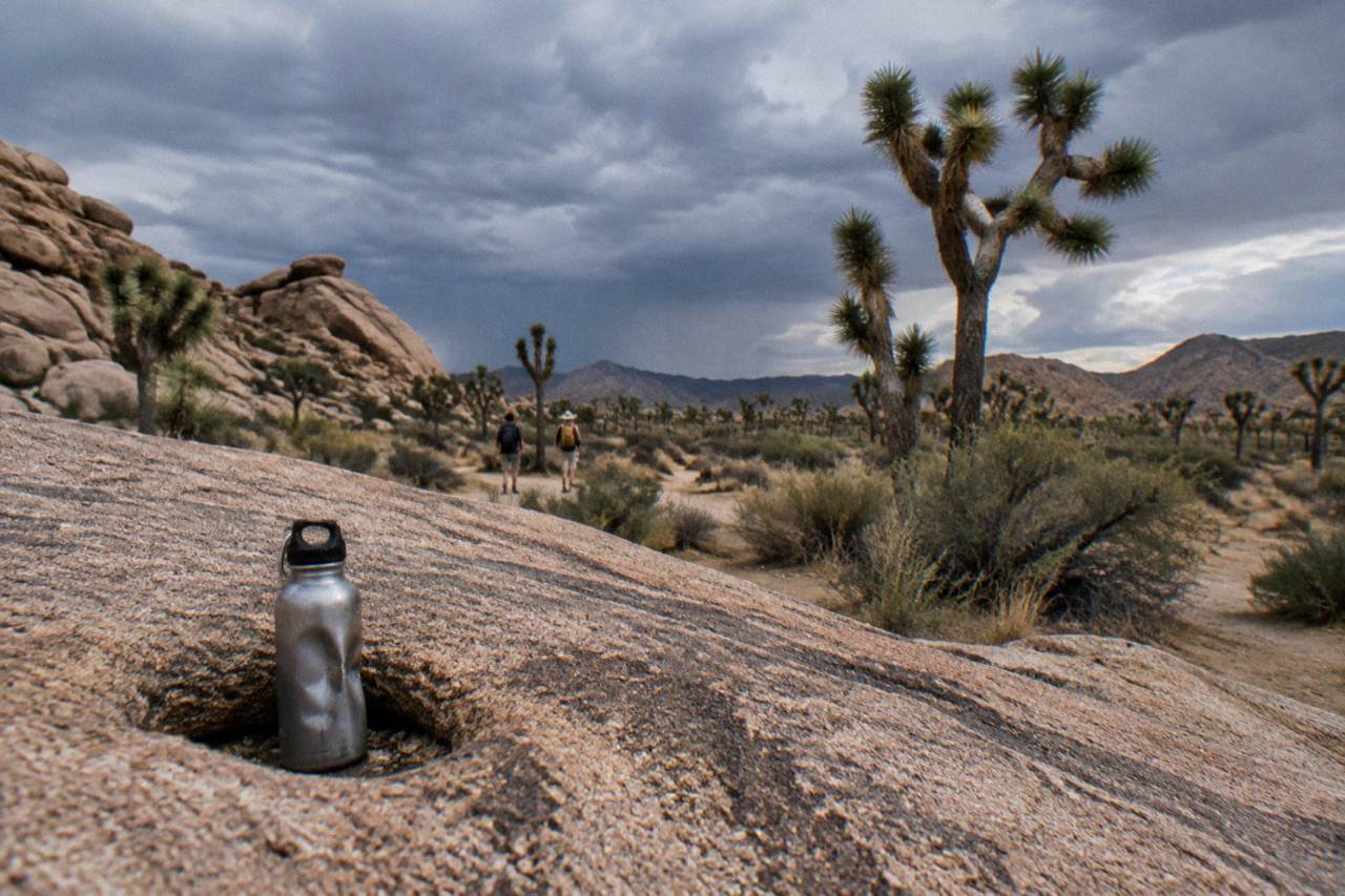 Joshua trees and granite boulders under a wide desert sky in Joshua Tree National Park