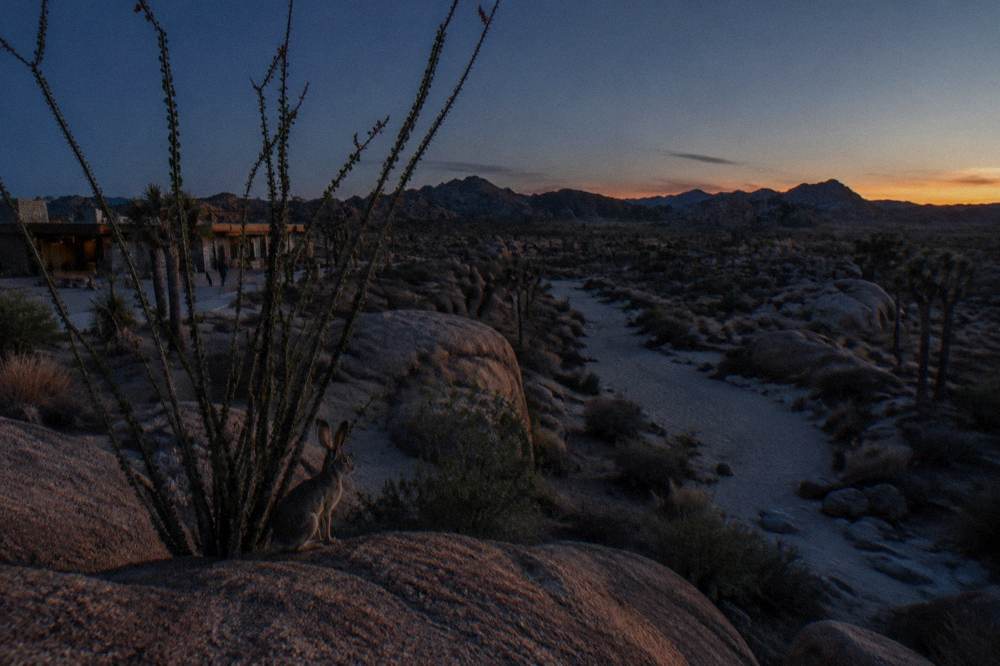 Desert wash and rock outcrop under a wide evening sky