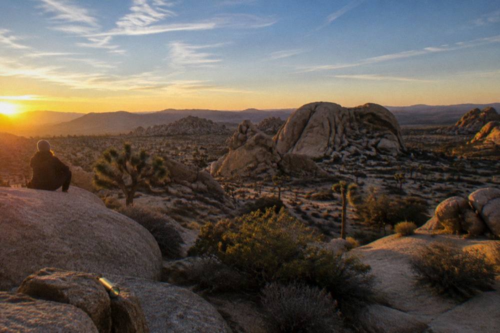Sweeping desert landscape with rock monoliths and scattered shrubs at golden hour