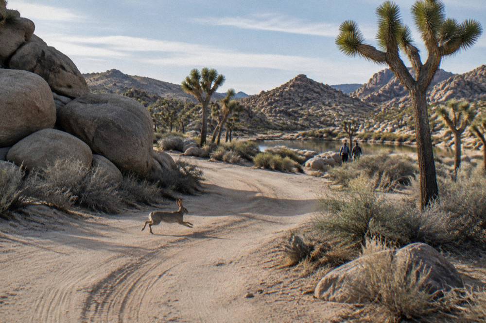 An unpaved desert back road winding between boulder piles and sparse Joshua trees