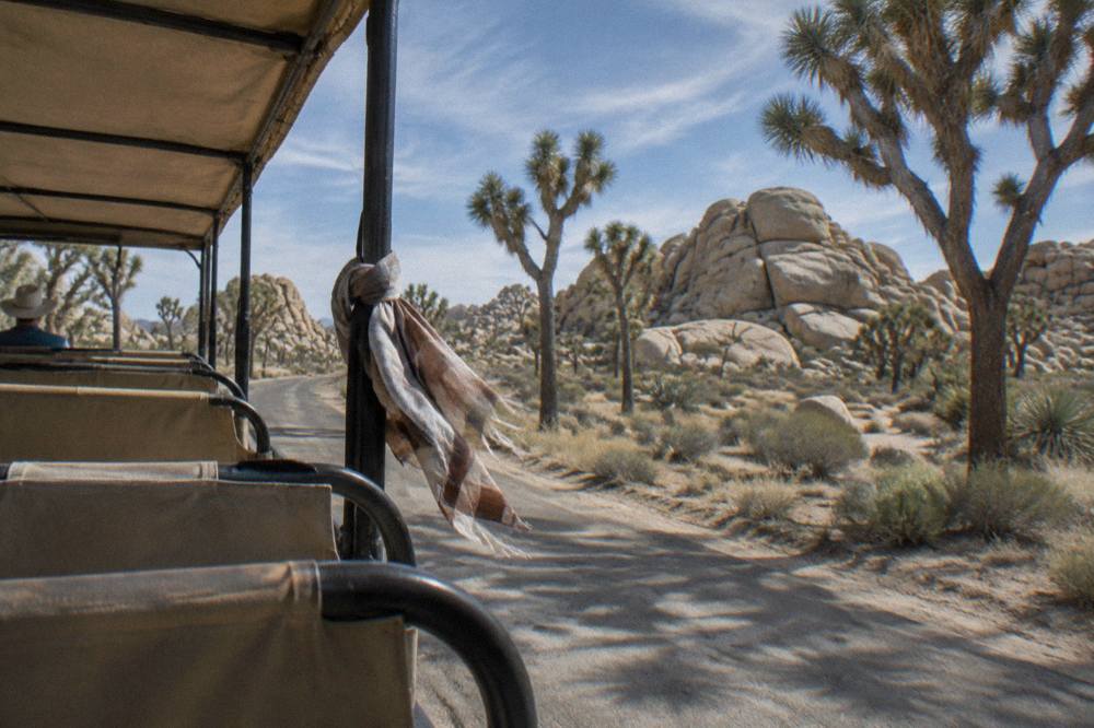 An open-air tour vehicle driving past large granite boulders and scattered Joshua trees on a desert road