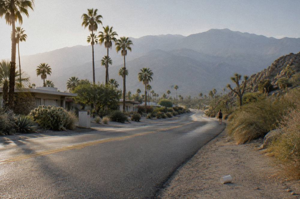Open desert road curving toward distant mountains with scattered Joshua trees