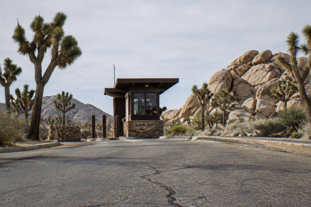 Granite boulders stacked beside a paved park road with Joshua trees