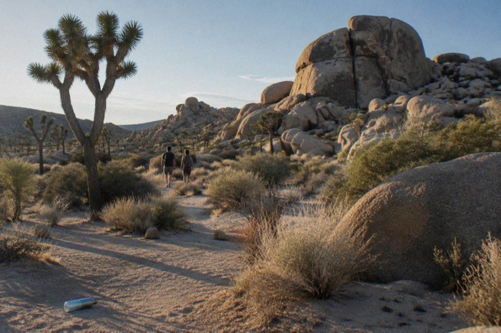 Long shadows across desert sand and rocks in late afternoon light