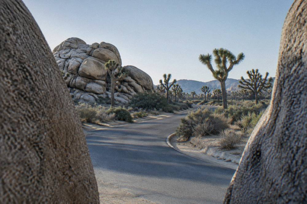 Empty desert road curving between boulder piles and Joshua trees