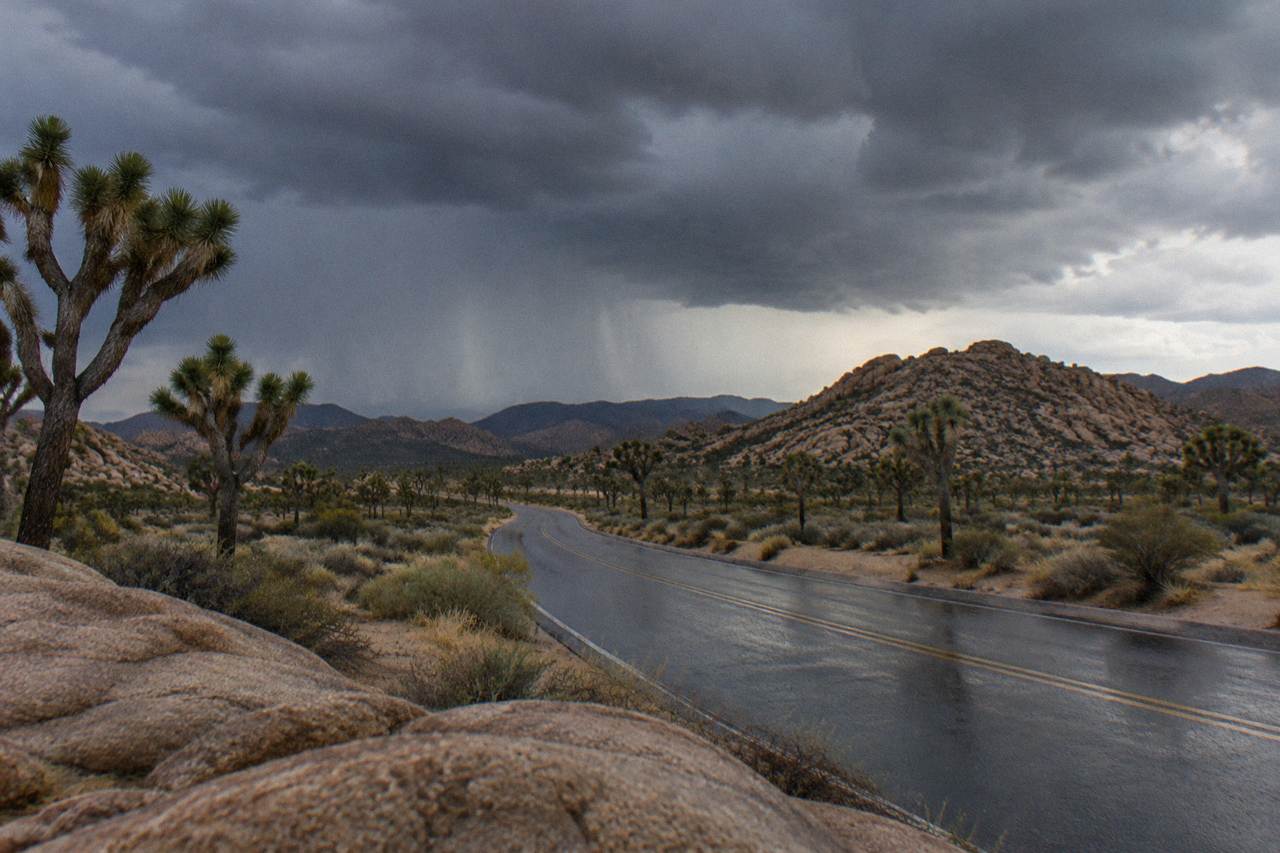 Desert road winding past Joshua trees toward distant rocky hills