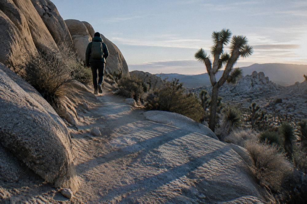 A quiet Joshua Tree trail in late afternoon light with long shadows across granite boulders