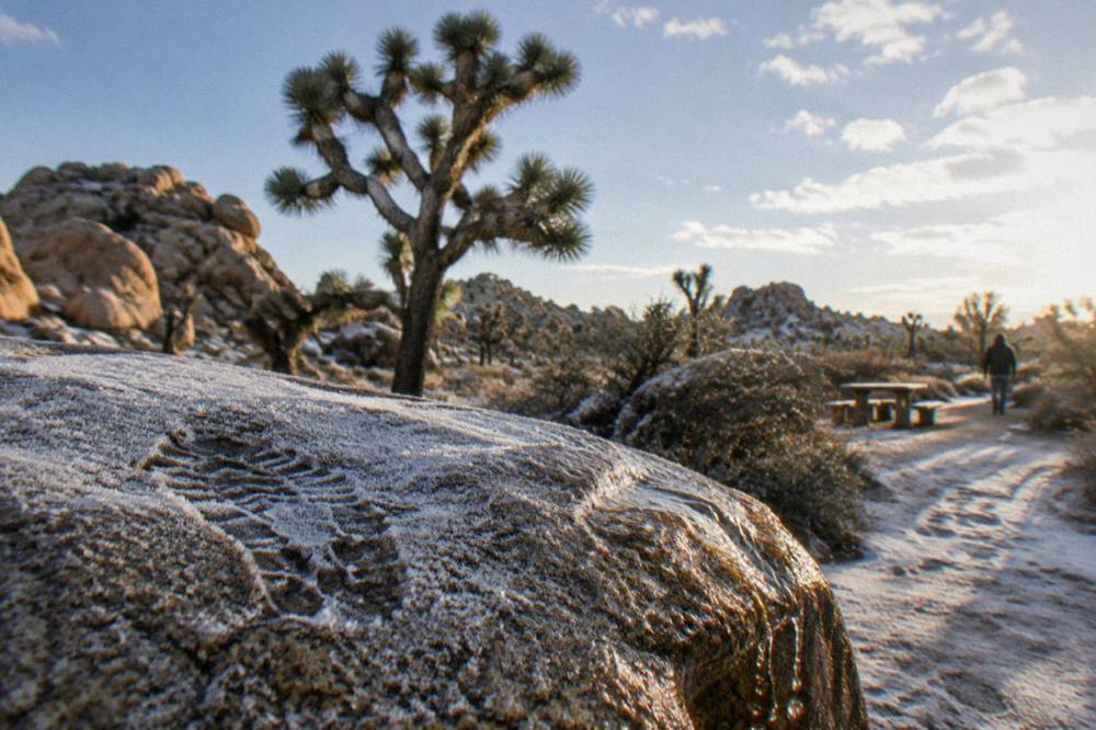 Granite boulders and Joshua trees with a thin morning frost melting in sunlight