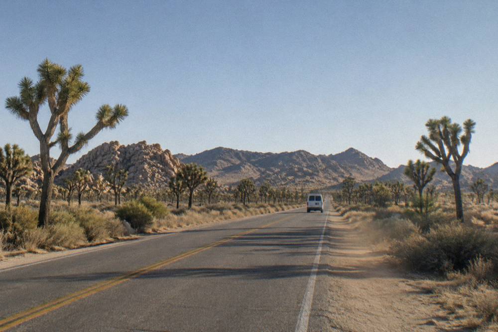 An open desert road through Joshua trees under a wide clear winter sky