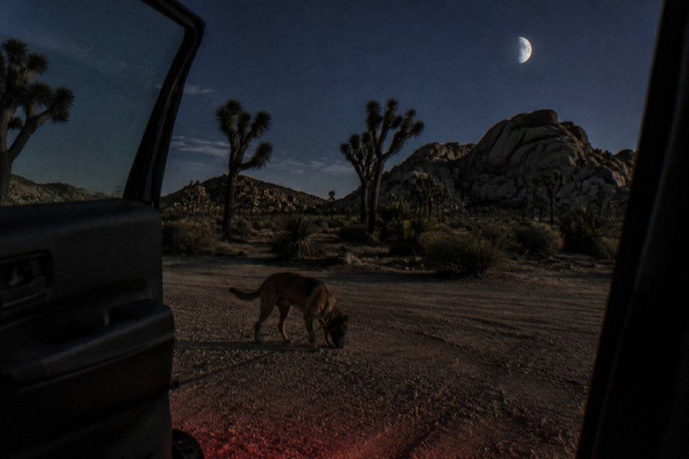 A red headlamp glowing faintly beside a car in a dark desert parking area