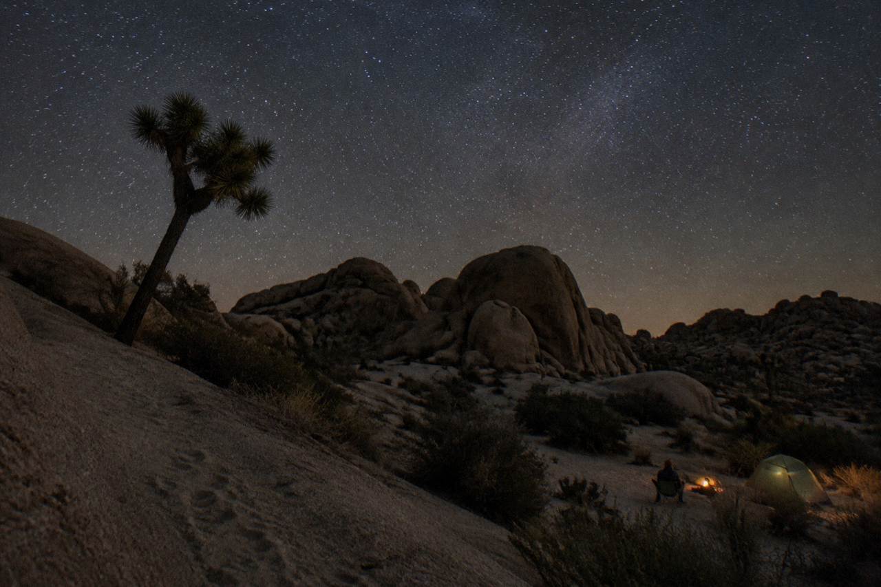 A desert night sky filled with stars above the silhouetted rock formations of Joshua Tree National Park