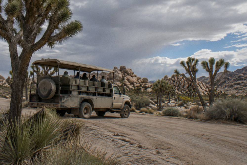 An open-air tour vehicle parked on a dirt road among joshua trees and rock piles